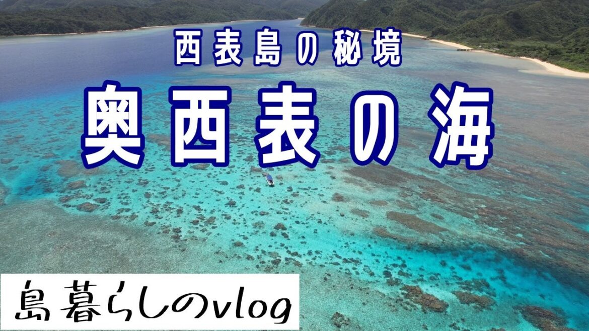 奥西表の海/ラストツアー/No.235
