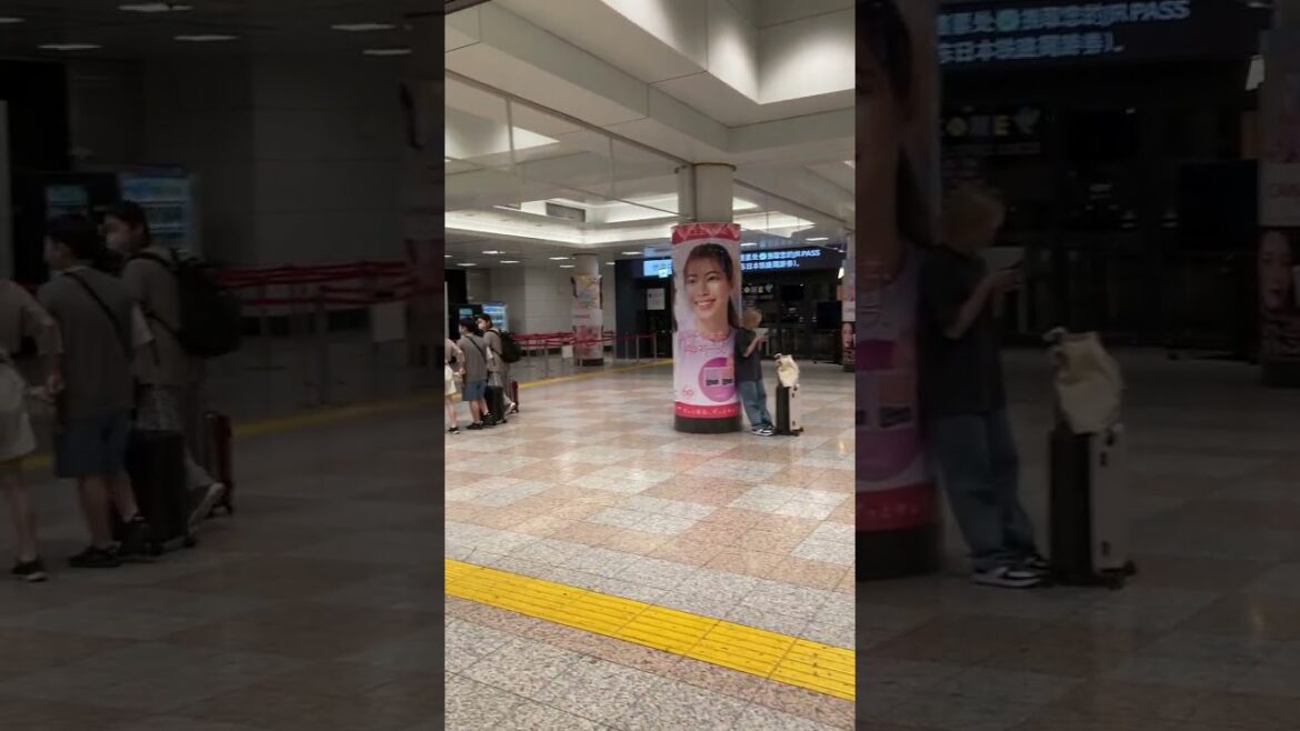 515 Narita Airport,  Japan