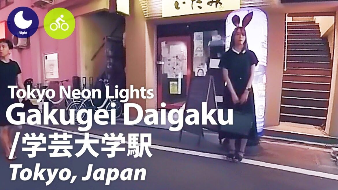 ⁴ᴷ Tokyo: Gakugei Daigaku Station (学芸大学駅) – Japan Cycling Tour (August, 2023) | Street Ambience ⁴ᴷ Tokyo: Gakugei Daigaku Station (学芸大学駅) - Japan Cycling Tour (August, 2023) | Street Ambience