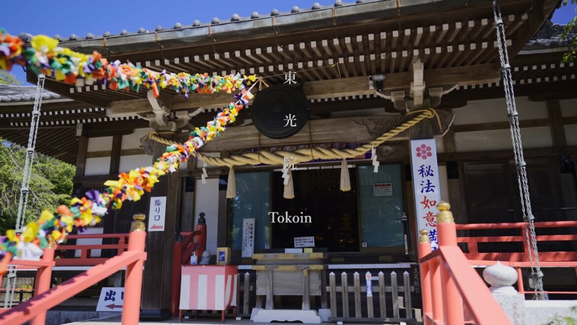 [ 4K HDR JAPAN WALK ] Virtual Tour of Tokoin Temple(Chiba temple)| 千年以上の歴史あり 東光院 ぴんぴんころり大師 身代わりがん封じ
