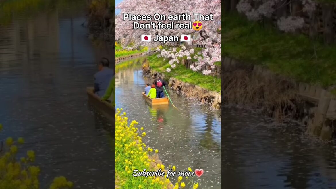Places in Japan 🇯🇵 that don't feel real😍 Most beautiful places on earth🌎#shorts#youtubeshorts #fyp