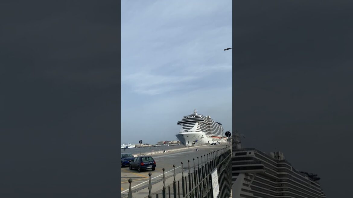 MSC Seashore Cruise Ship in port of Messina