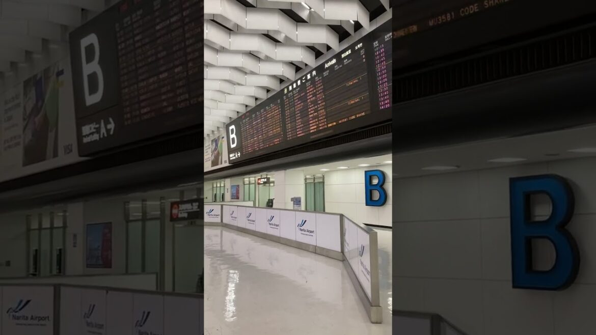 517 Narita Airport, Japan