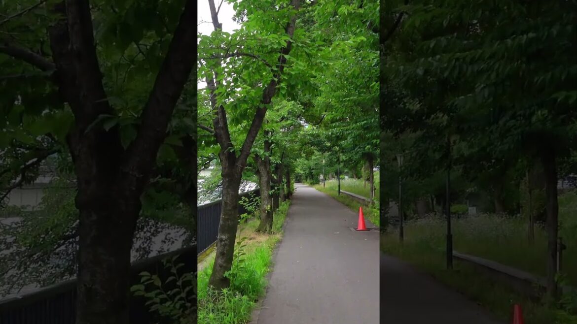 Take a walk from Tenjinbashisuji 6-chome Station – Osaka – 4 #shorts #walking #japantravel Take a walk from Tenjinbashisuji 6-chome Station - Osaka - 4 #shorts #walking #japantravel