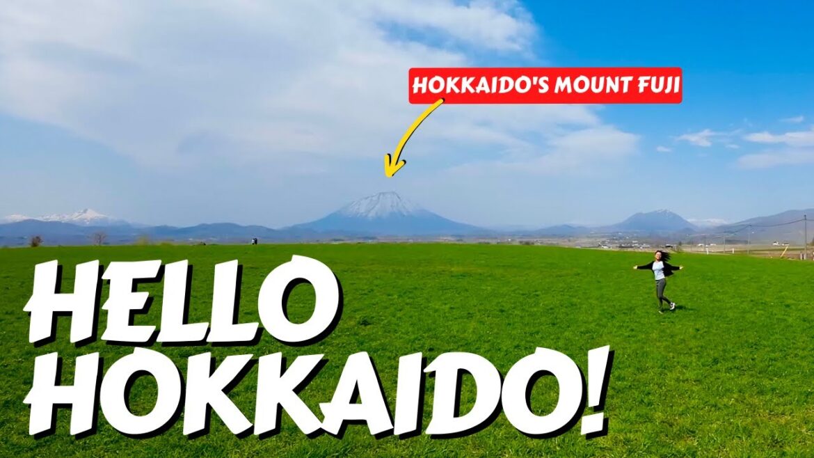 HOKKAIDO BLEW our EXPECTATIONS. It's so BEAUTIFUL!