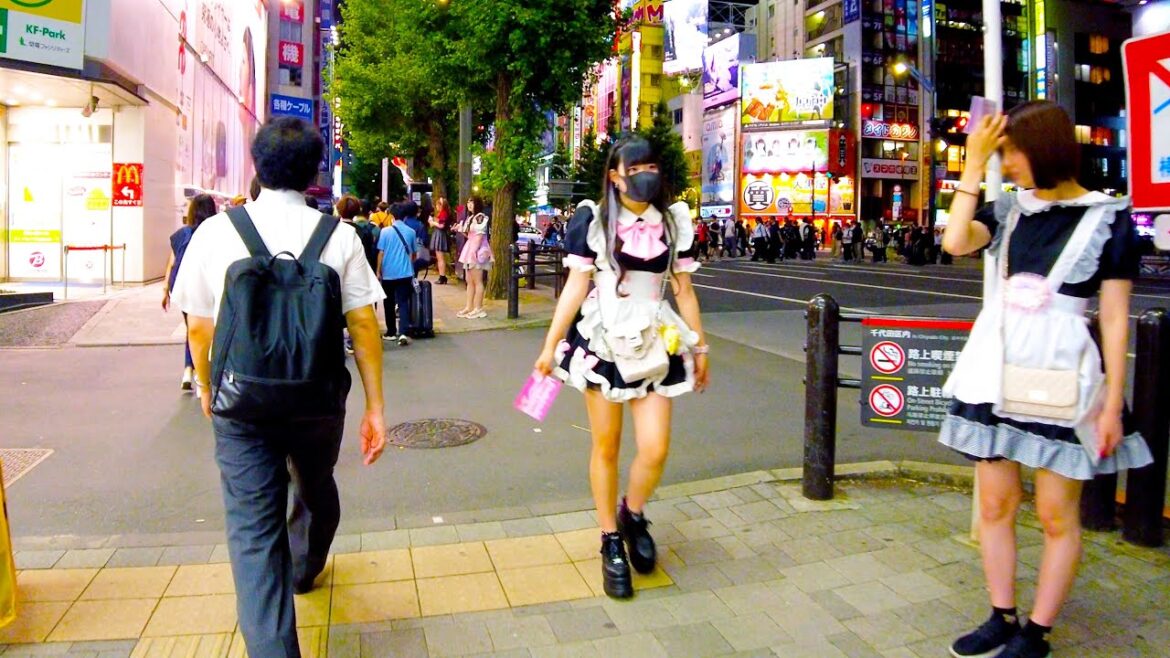 Akihabara in Tokyo 🐶🍻 Which maid cafe do you prefer? ♪💖4K ASMR non-stop 1 hour 02 minutes Akihabara in Tokyo 🐶🍻 Which maid cafe do you prefer? ♪💖4K ASMR non-stop 1 hour 02 minutes