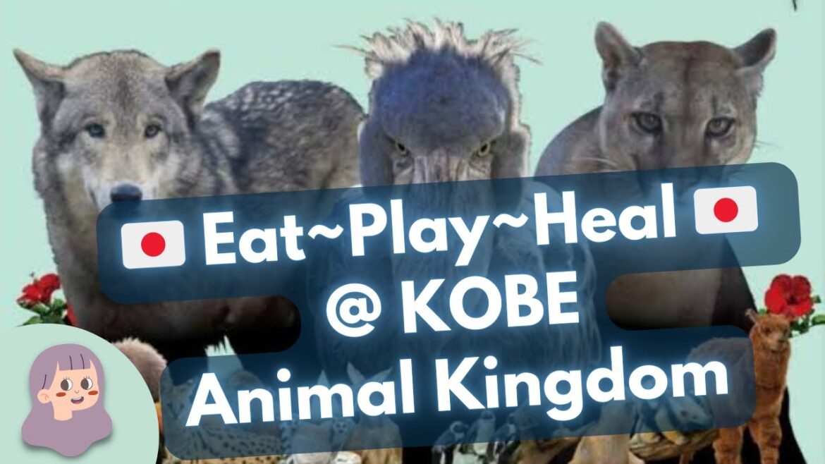 Eat Play Heal: Kobe Animal Kingdom-Symbiotic Park, Flowers, Animals & People Have Close Interaction! Eat Play Heal: Kobe Animal Kingdom-Symbiotic Park, Flowers, Animals & People Have Close Interaction!