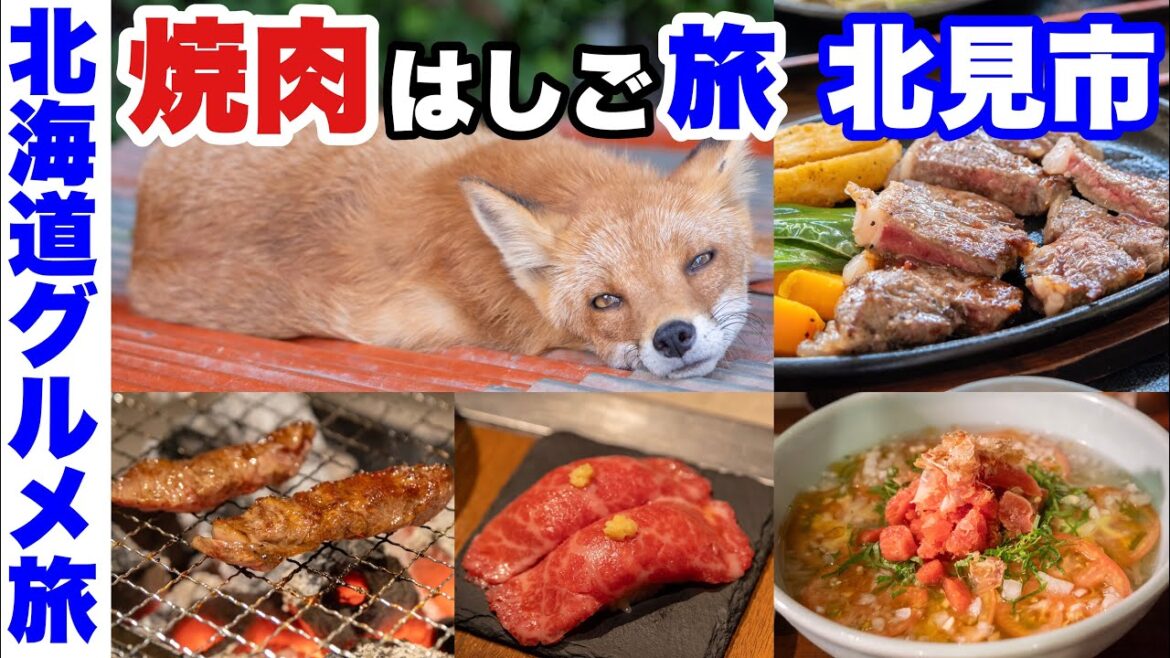 【北海道グルメ旅】北見 焼肉はしご旅。昼ステーキ、夜 焼肉。キツネも登場！(湧別→北見)【3泊4日の1日目】