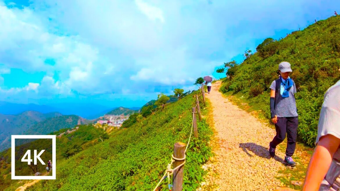 Japan 4K Walking Tour - Hiking Mt. Ibuki, the highest mountain in Shiga Prefecture!