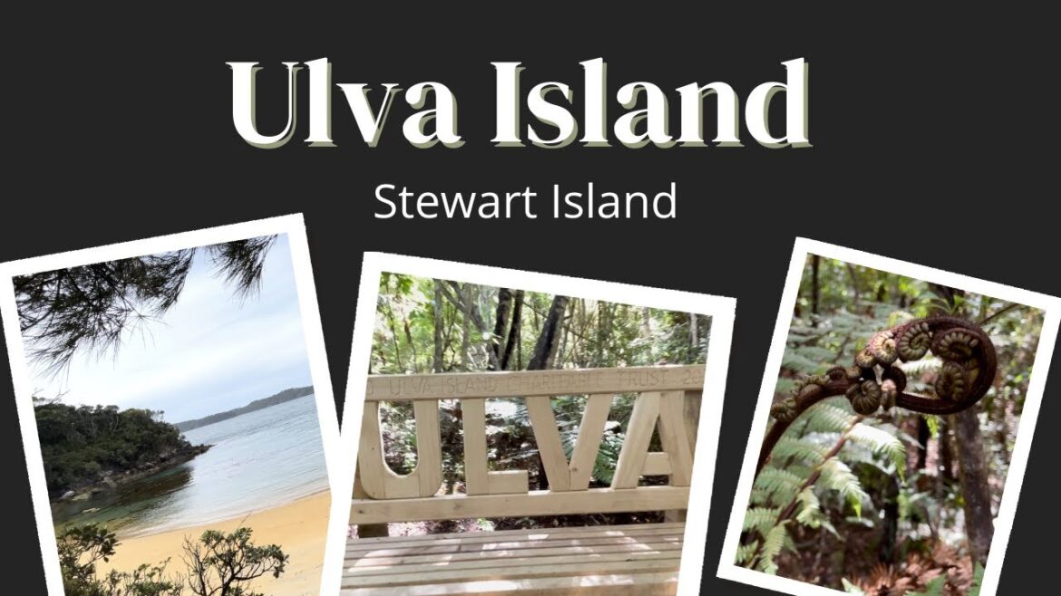NEW ZEALAND | STEWART ISLAND | Ulva Island | Rakiura National Park