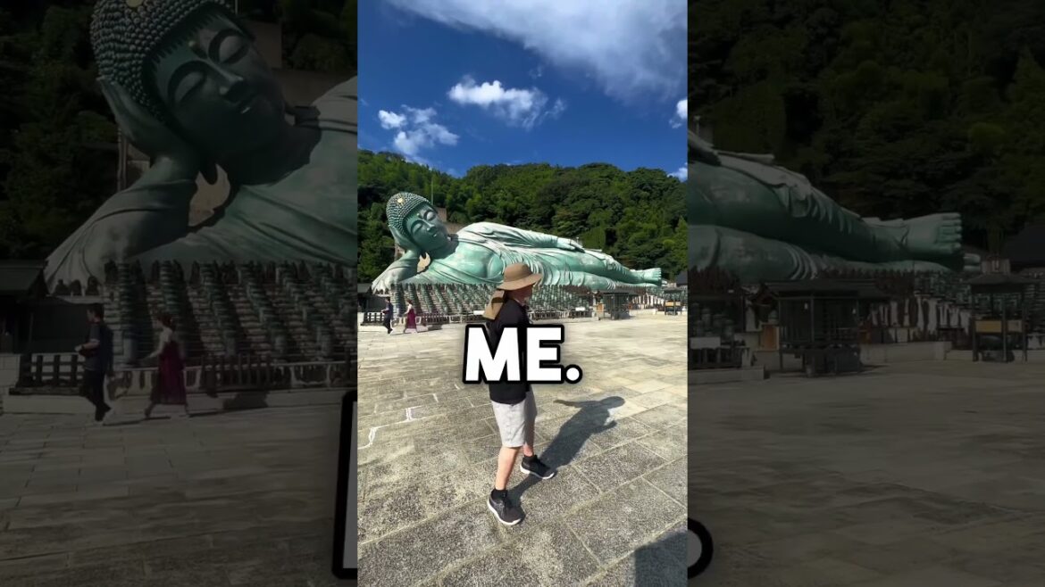 Nanzoin Temple - Fukuoka, Japan🇯🇵 #japan #travel #japantravel #japanlife #fukuoka #fukuokajapan