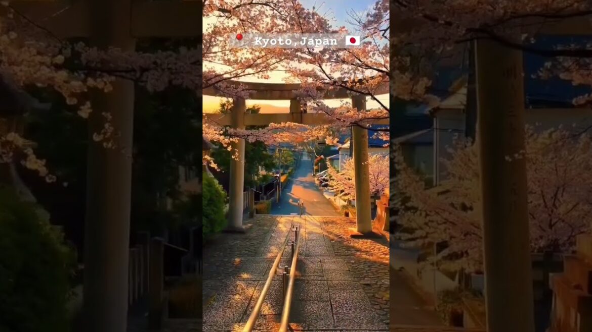 The surreal streets of Kyoto, Japan 🇯🇵⛩️|| 京都市 || #beautiful #travel #shorts The surreal streets of Kyoto, Japan 🇯🇵⛩️|| 京都市 || #beautiful #travel #shorts