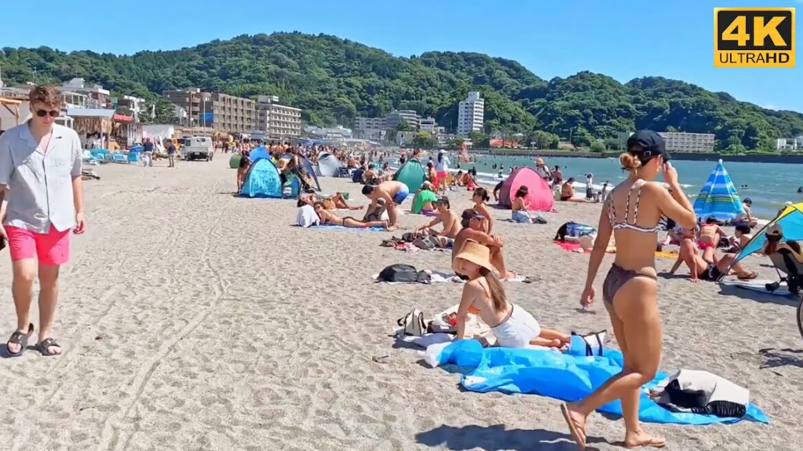 【4K】JAPAN BEACH WALK – Kanagawa Beach in Japan Sunset Summer Walking Tour – 神奈川の海 – Japan Walk TV 【4K】JAPAN BEACH WALK - Kanagawa Beach in Japan Sunset Summer Walking Tour - 神奈川の海 - Japan Walk TV