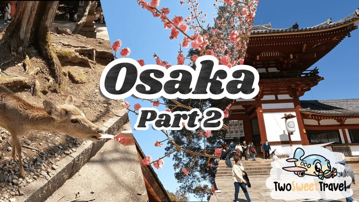 Osaka 大板 🎌 Part 2 Travel Vlog | Nissin Cup Noodle Museum, Nara Deer Park, Todaiji Temple, Umeda Sky Osaka 大板 🎌 Part 2 Travel Vlog | Nissin Cup Noodle Museum, Nara Deer Park, Todaiji Temple, Umeda Sky