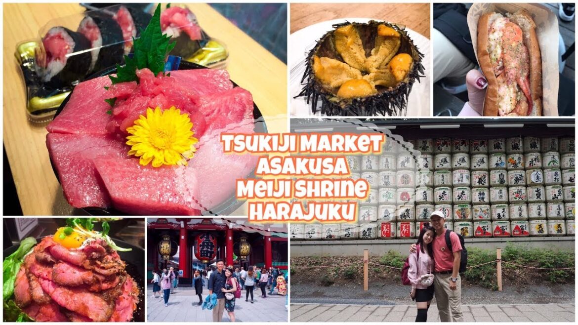 TOKYO - Tsukiji Market, Asakusa, Ueno Park, Meiji Shrine & Harajuku | Japan Travel Vlog (2)