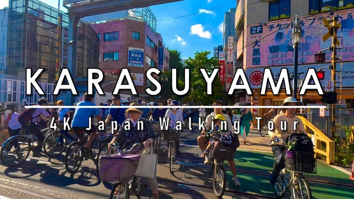 Karasuyama 4K Japan Walking Tour!