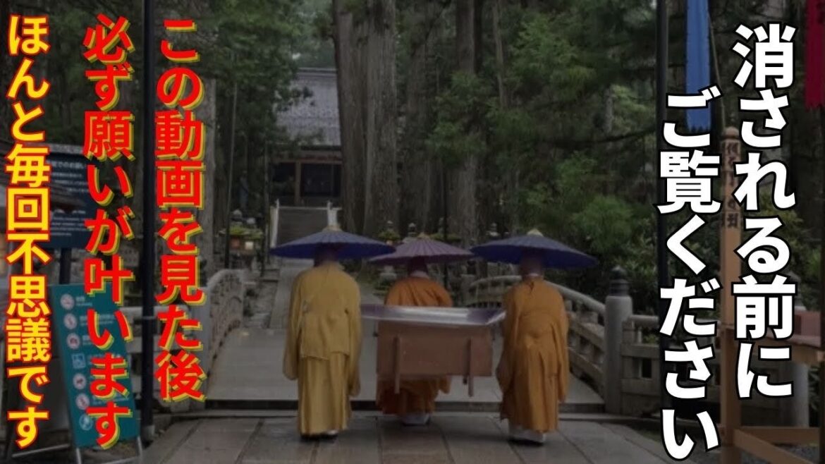 ⚠️神回※もし逃したら二度とありません※見るだけで幸せなことが次々と起こります【高野山奥の院生身供】浄化  #パワースポット#遠隔参拝#和歌山 #高野山 ⚠️神回※もし逃したら二度とありません※見るだけで幸せなことが次々と起こります【高野山奥の院生身供】浄化  #パワースポット#遠隔参拝#和歌山 #高野山