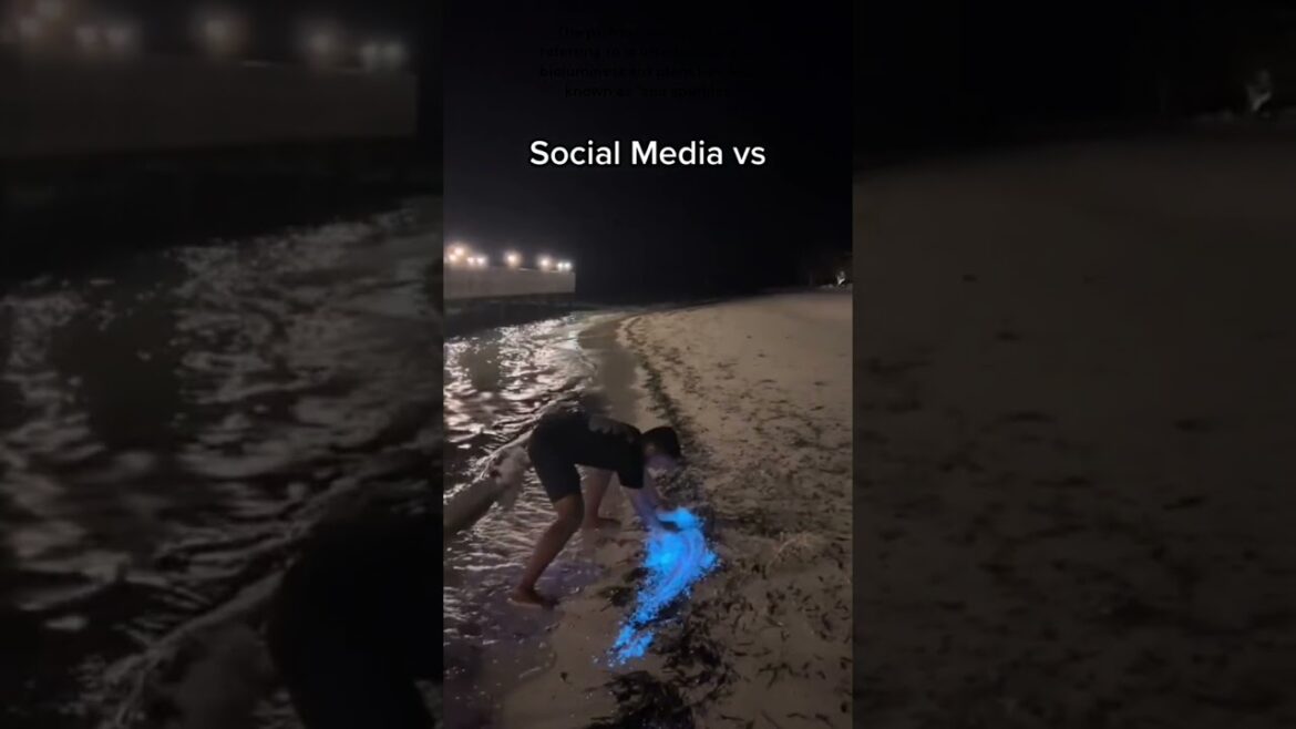 Instagram vs Reality:  Bioluminescent Plankton | Beyond the Filter |Travel Guide