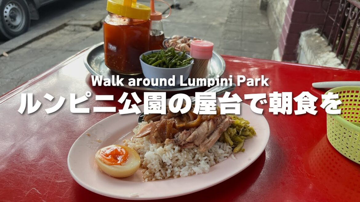 朝のルンピニ公園を散策＆屋台飯｜Lumpini Park