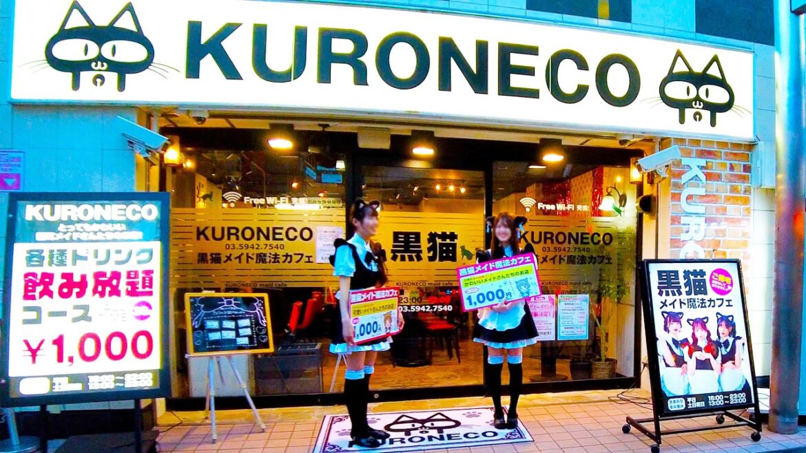 Nakano in Tokyo ๐ถ๐ป Master, welcome to Nakano โช๐ 4K ASMR non-stop 1 hour 01 minutes Nakano in Tokyo ๐ถ๐ป Master, welcome to Nakano โช๐ 4K ASMR non-stop 1 hour 01 minutes