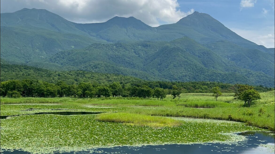 Shiretoko Goko Lake Walk #知床五湖 #shiretoko #japanwalk #walkingtour #hokkaidowalk #hd