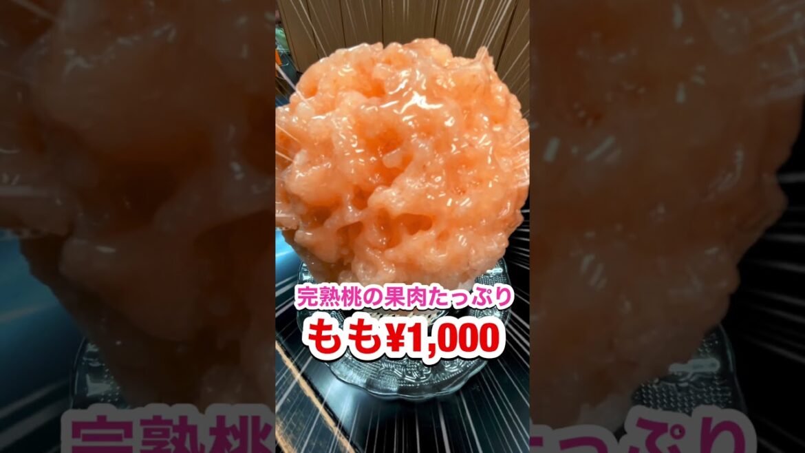 【グルメ】超穴場！こだわり絶品かき氷がヤバすぎた【神戸発!!つがい旅×カイキング】#Shorts  #カイキング #かき氷 #穴場スポット