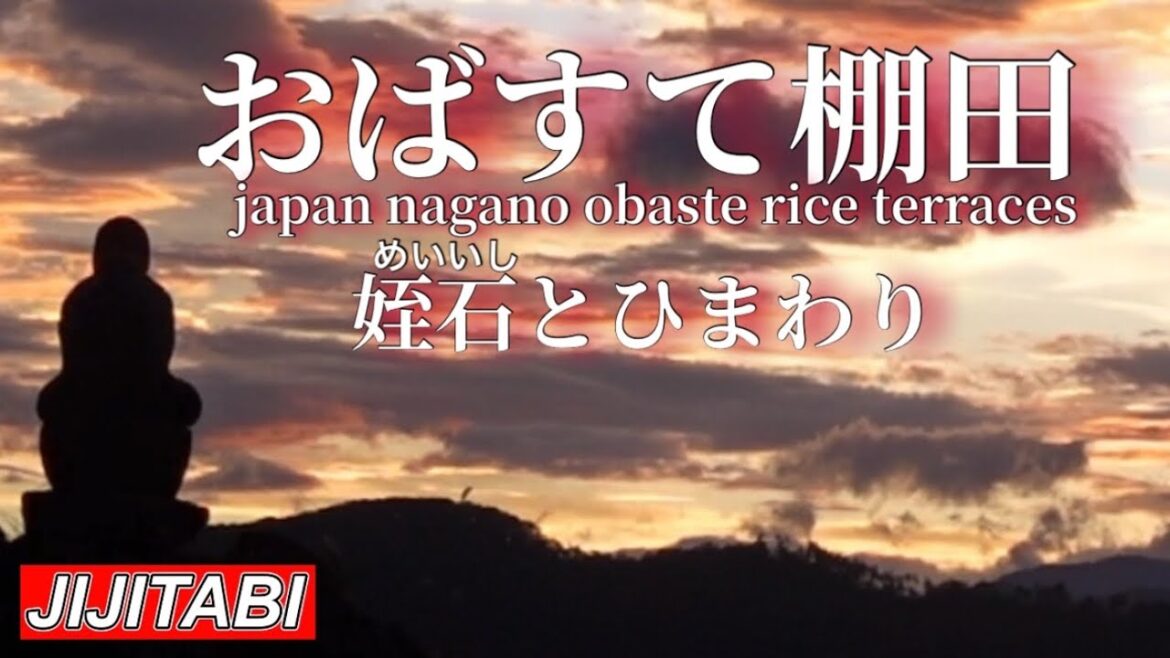 長野県千曲市【おばすて棚田】姪石とひまわりChikuma Nagano, Japan [Obasute Terraced Rice Fields] Meiishi and Sunflowers