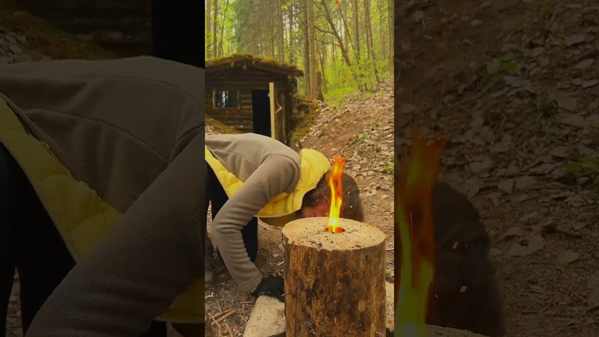 She will survive in any forest π₯#campaign #survival#bushcraft #outdoor @marusya_outdoors She will survive in any forest π₯#campaign #survival#bushcraft #outdoor @marusya_outdoors