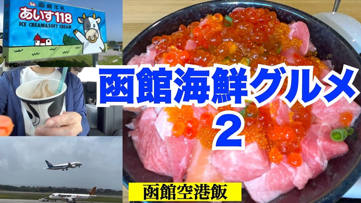 【函館海鮮グルメ②】函館空港で食べる至極の逸品『HAKOYA』の中トロ彩コロ丼 これホントに中トロ??疑惑の丼 展望テラスで間近で眺められる飛行機離発着の大迫力 空港近くの絶品スイーツ 【函館海鮮グルメ②】函館空港で食べる至極の逸品『HAKOYA』の中トロ彩コロ丼 これホントに中トロ??疑惑の丼 展望テラスで間近で眺められる飛行機離発着の大迫力 空港近くの絶品スイーツ