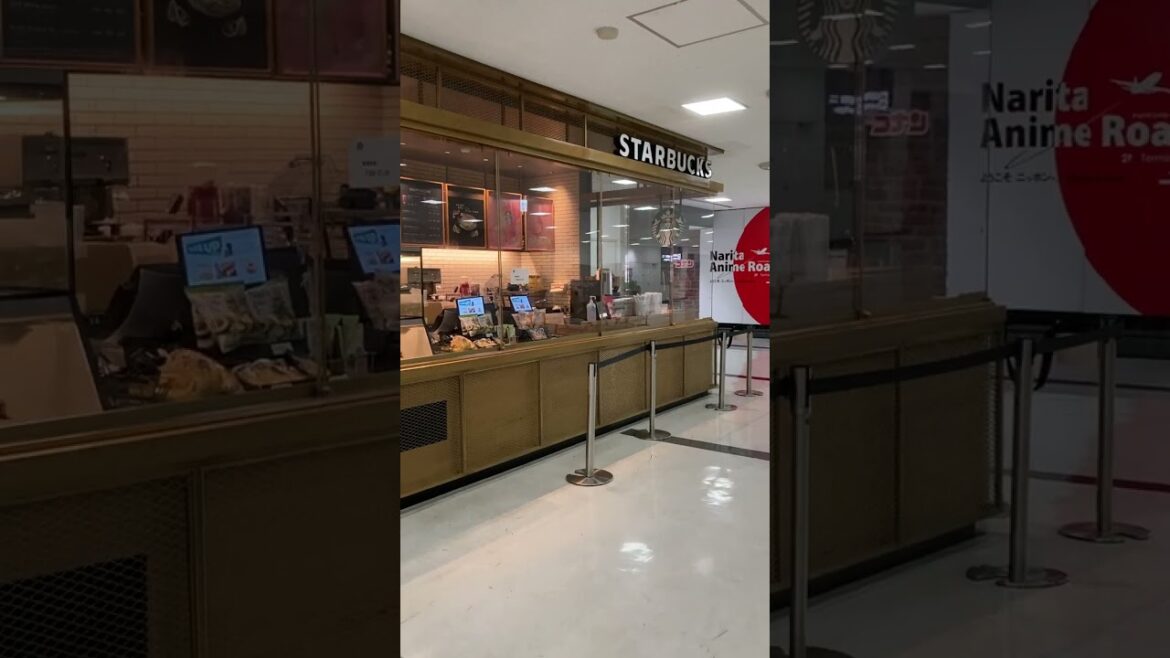 519 Narita Airport, Japan