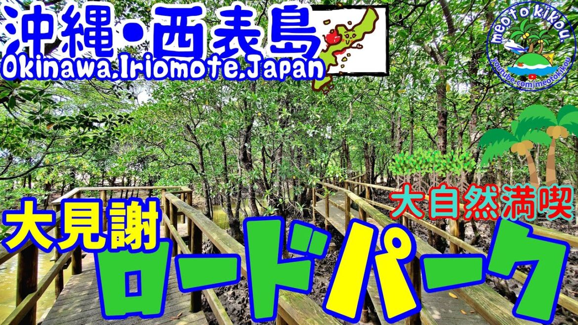 ええとこ見つけた！ 子供も喜ぶ！ 大見謝ロードパーク 散策🌴 沖縄県 西表島🌺 沖縄観光 西表島観光 11.ai