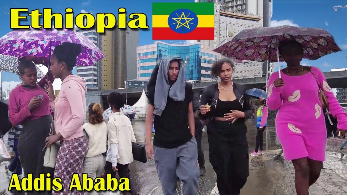 (መገናኛ በዝናብ) Walking Tour in the Rain Megenagna Addis Ababa #Ethiopia 2023 (መገናኛ በዝናብ) Walking Tour in the Rain Megenagna Addis Ababa #Ethiopia 2023