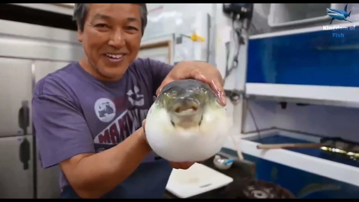 Japanese Street Food - Thrilling Live Encounter with Fugu Pufferfish