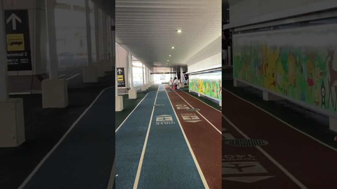 521 Narita Airport, Japan