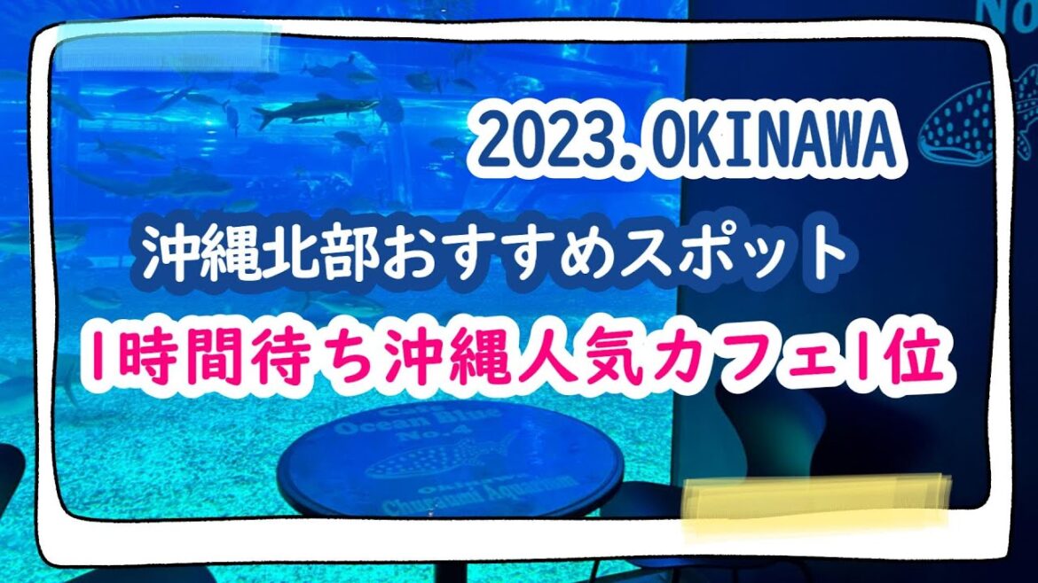 【2023.沖縄カフェ人気１位】１時間待ちの大人気カフェ｜沖縄旅行北部｜沖縄旅行おすすめ｜沖縄の観光地｜