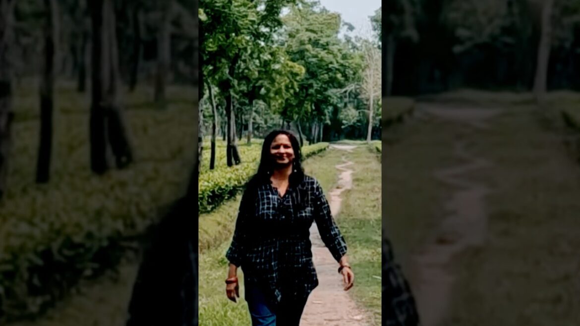 Tea Garden Tour #shorts #youtubeshorts #teagarden Tea Garden Tour #shorts #youtubeshorts #teagarden