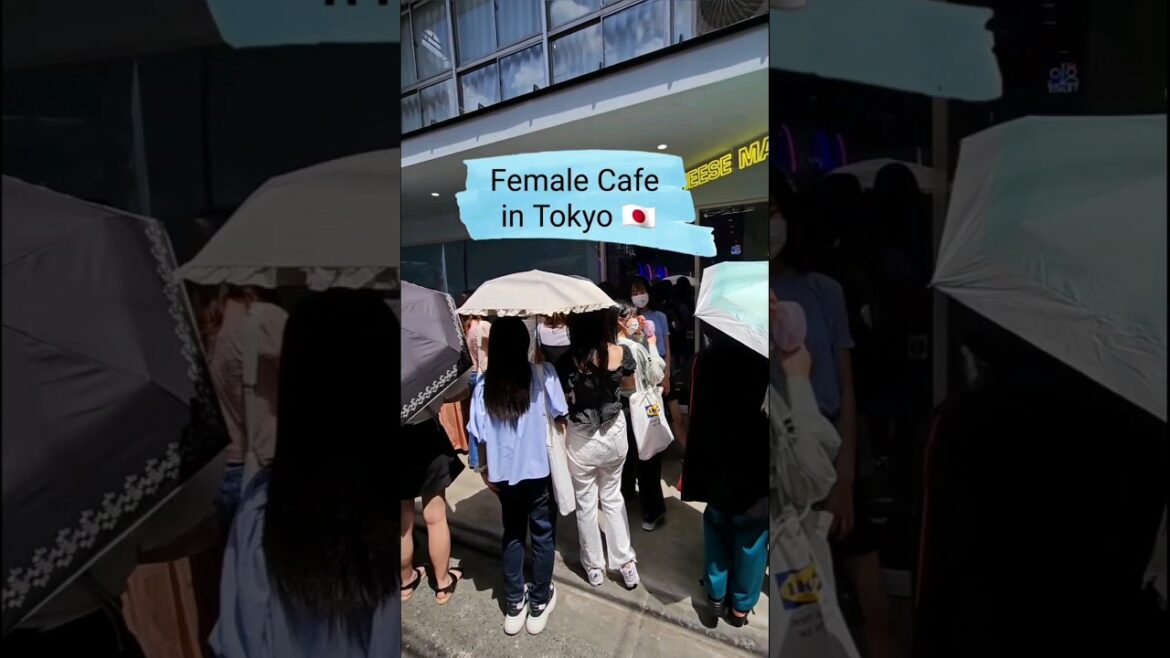Female Cafe in Tokyo, Japan 🇯🇵😱. #shorts