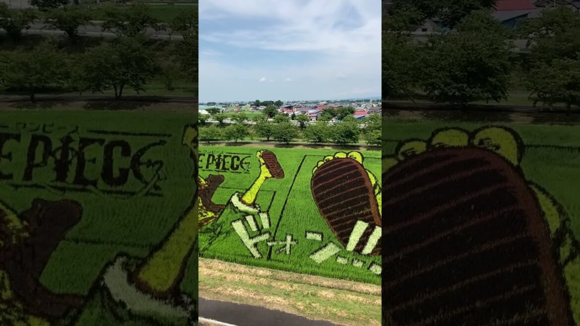 【Aomori 💖】Walk Japan - Rice Field Art in 2023 in Aomori ASMR