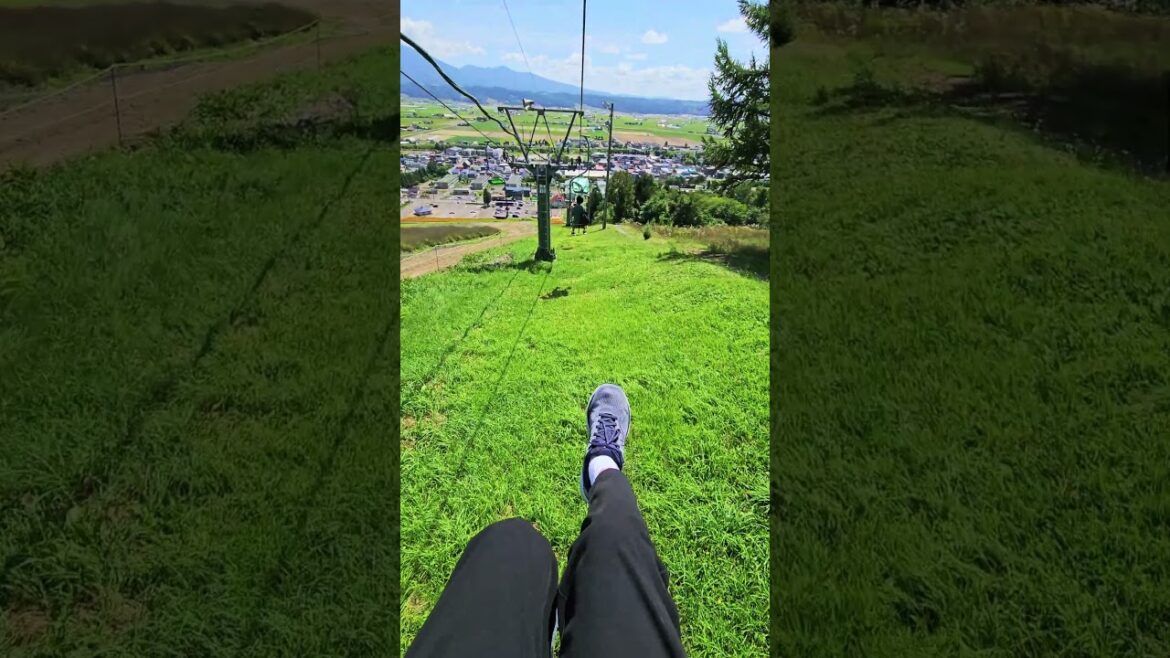 Summer in Furano Hokkaido Summer in Furano Hokkaido