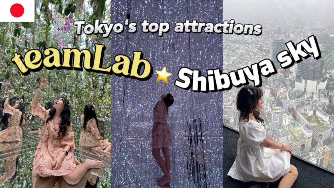 How I spent a rainy day in Tokyo | Exploring Indoor Attractions TeamLab Planets, Shibuya Sky & Ramen
