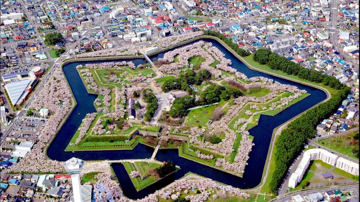 Hokkaido will be on Sakura TV this Saturday, & notice of Japanese Film Festival Online 2022