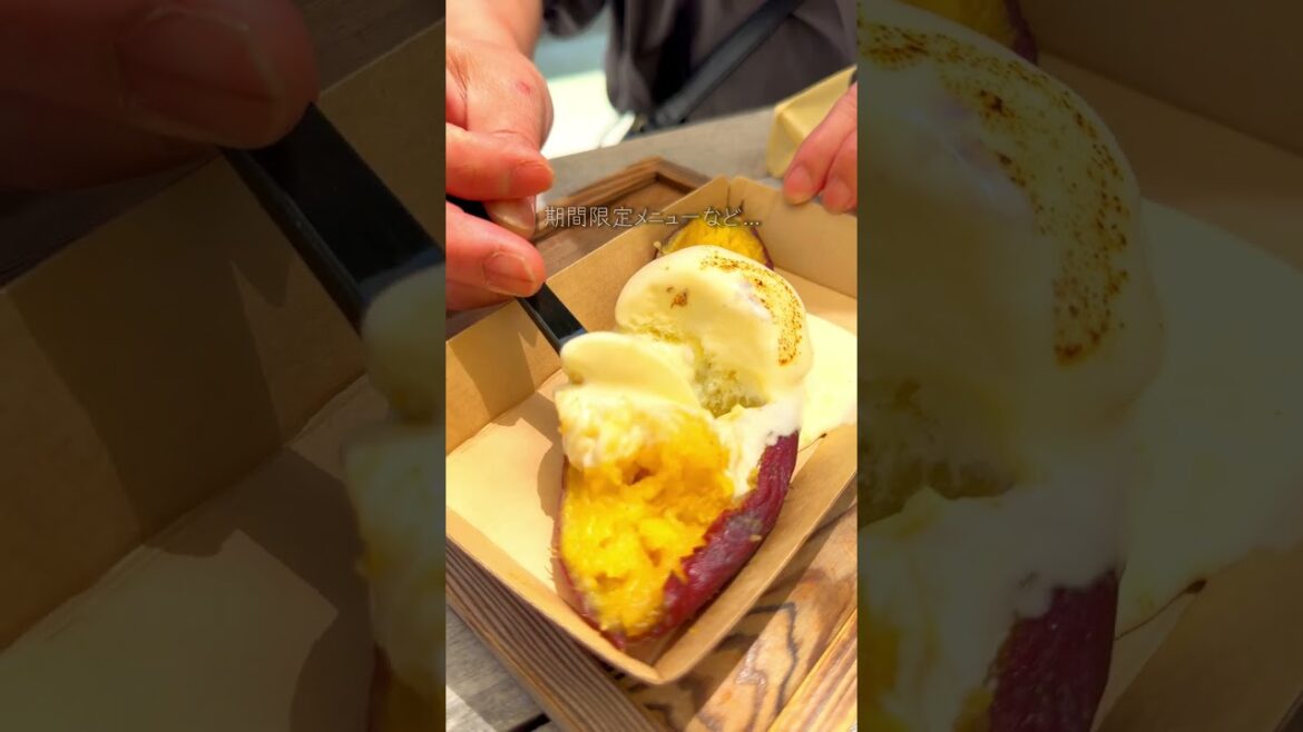 【鹿児島カフェ】今SNSで話題の映えるカフェ&鳥居#shorts 【鹿児島カフェ】今SNSで話題の映えるカフェ&鳥居#shorts