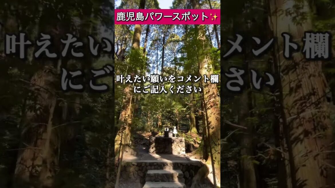 見るだけで願いが叶う【霧島神宮遠隔参拝】天孫降臨の不思議な力#遠隔参拝 #パワースポット 見るだけで願いが叶う【霧島神宮遠隔参拝】天孫降臨の不思議な力#遠隔参拝 #パワースポット