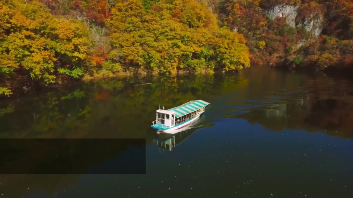 Yamaguchi, Hiroshima and Shimane from 28 January 2017