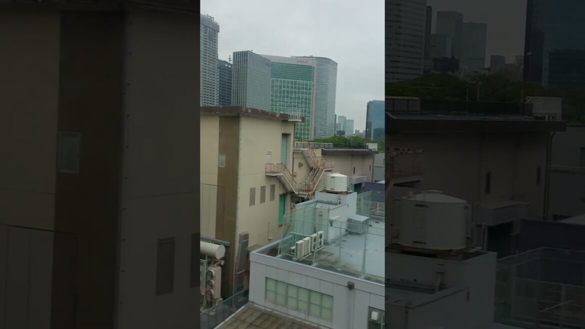 Japan 20160919_095744 #Urikame #odaiba Japan 20160919_095744 #Urikame #odaiba