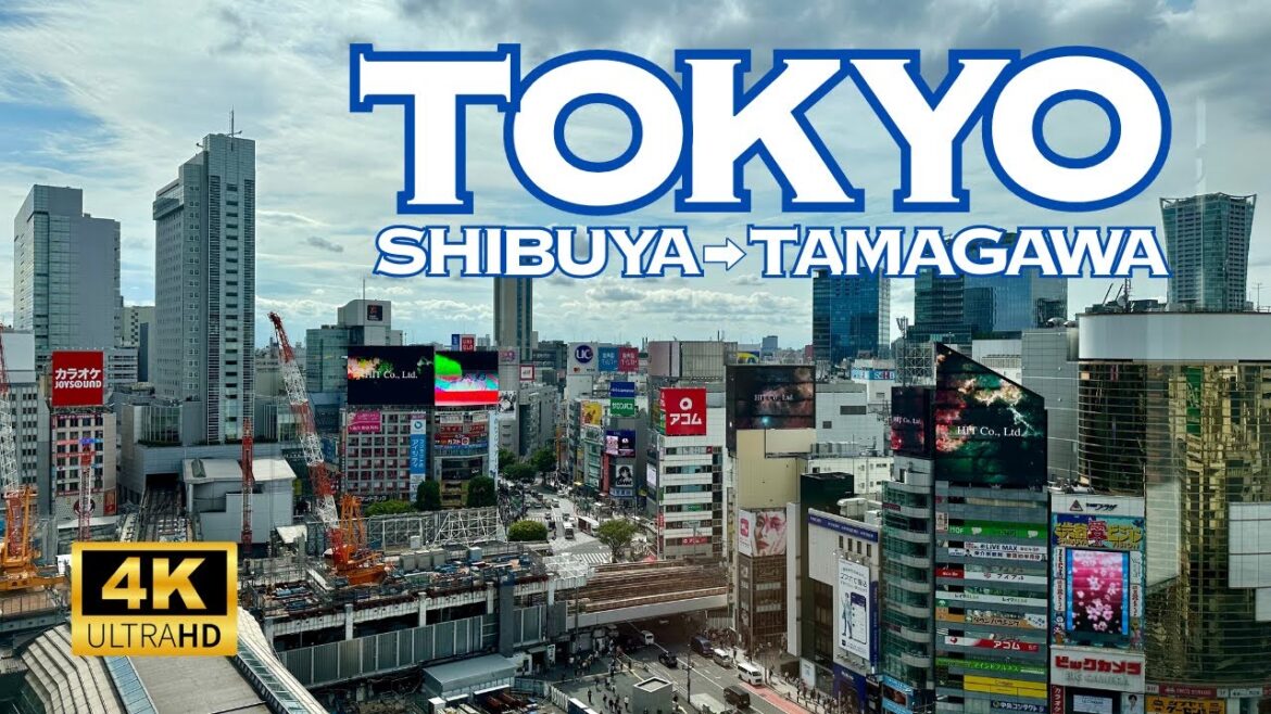 [4K] Shibuya→Daikanyama→Nakameguro→Jiyugaoka→Denenchofu→Tama River 🇯🇵🐧 TOKYO Nonstop Walking Tour