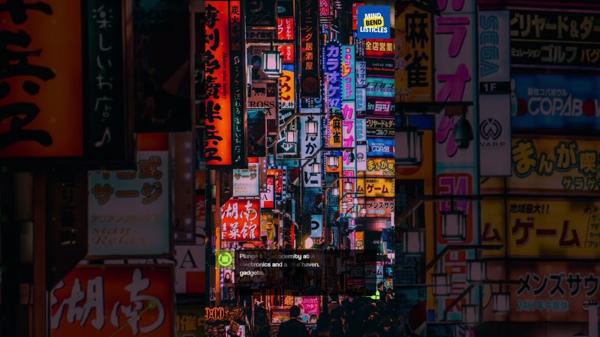 Afternoon - Hi-Tech Tokyo #japan #technology #tech #hitech #travel #travelvlog #vacation