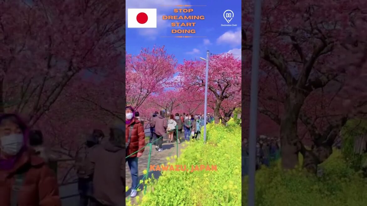 Kawazu || Japan || Bucket List Destinations To Visit #shorts #travel #destinations #tourism Kawazu || Japan || Bucket List Destinations To Visit #shorts #travel #destinations #tourism