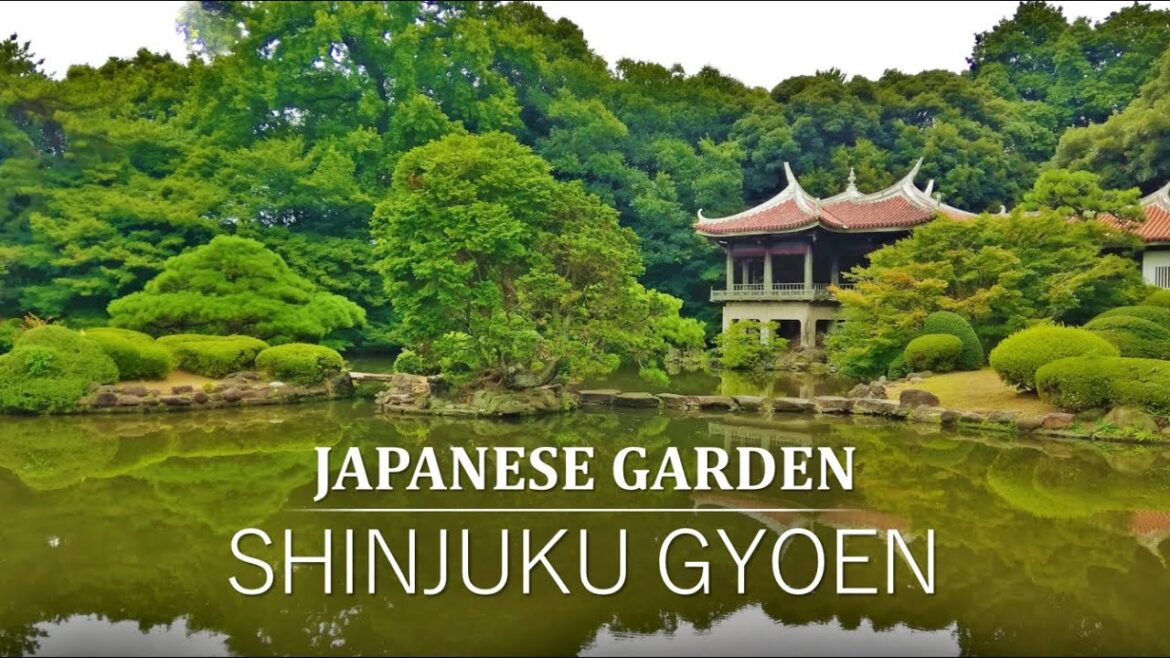 Beautiful Fusion of Japanese Garden & Taiwanese Architecture | Shinjuku Gyoen