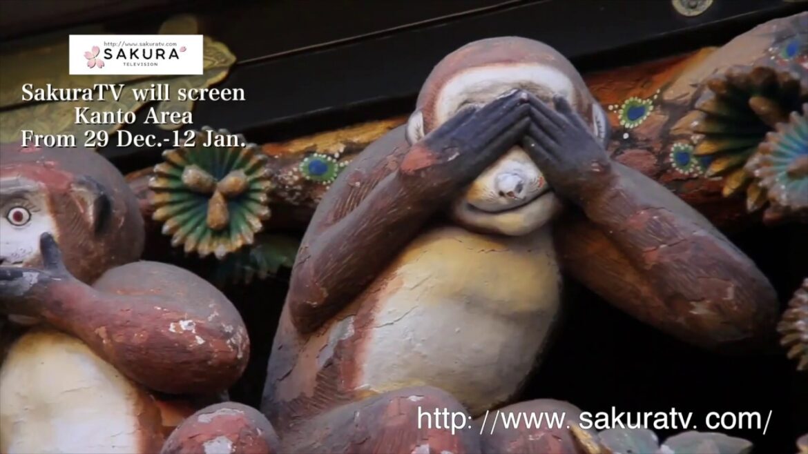 Tokyo and surrounding tourist spots. Short train ride from Tokyo downtown, lots to see and enjoy. Tokyo and surrounding tourist spots. Short train ride from Tokyo downtown, lots to see and enjoy.